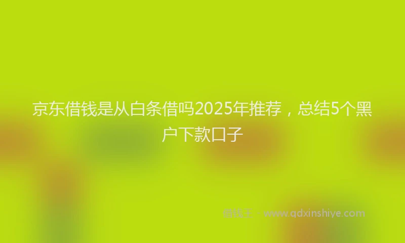 京东借钱是从白条借吗2025年推荐，总结5个黑户下款口子