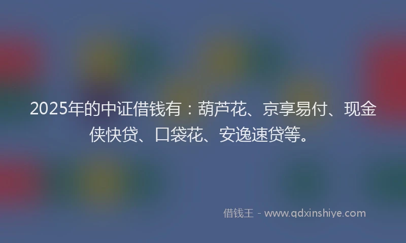 2025年的中证借钱有：葫芦花、京享易付、现金侠快贷、口袋花、安逸速贷等。