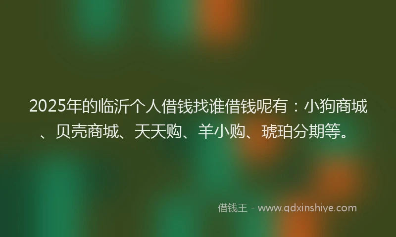 2025年的临沂个人借钱找谁借钱呢有：小狗商城、贝壳商城、天天购、羊小购、琥珀分期等。