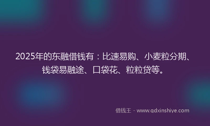 2025年的东融借钱有：比速易购、小麦粒分期、钱袋易融途、口袋花、粒粒贷等。
