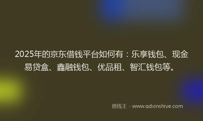 2025年的京东借钱平台如何有：乐享钱包、现金易贷盒、鑫融钱包、优品租、智汇钱包等。