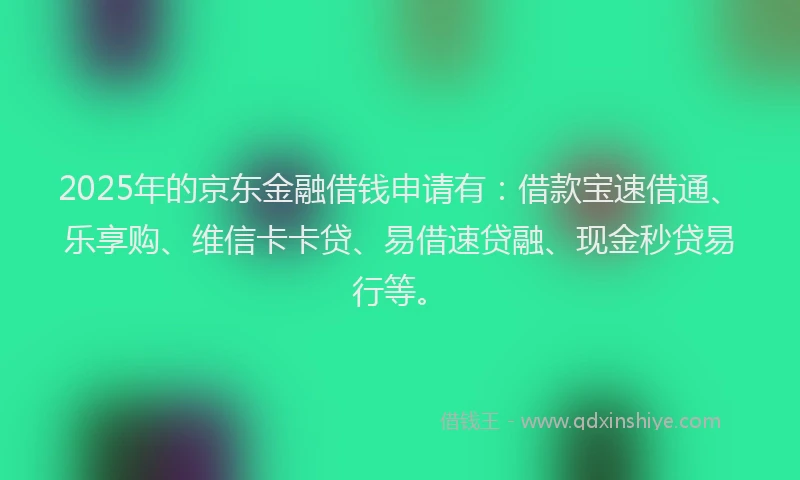 2025年的京东金融借钱申请有：借款宝速借通、乐享购、维信卡卡贷、易借速贷融、现金秒贷易行等。