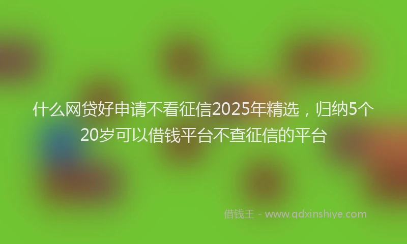 什么网贷好申请不看征信2025年精选，归纳5个20岁可以借钱平台不查征信的平台