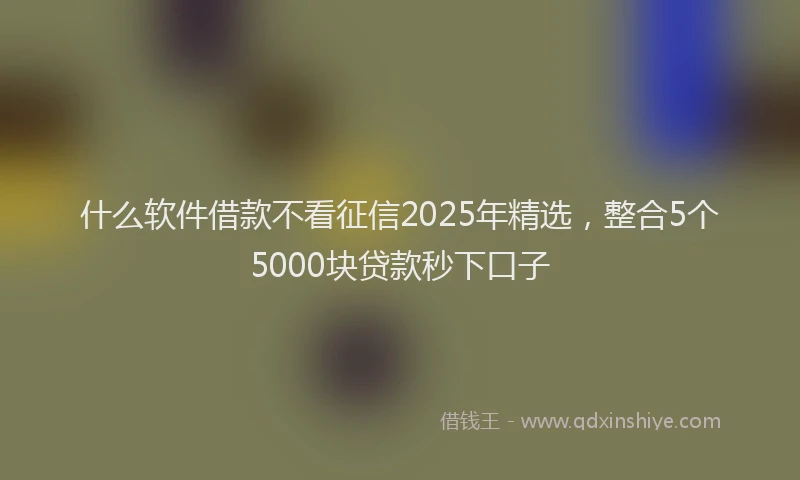 什么软件借款不看征信2025年精选，整合5个5000块贷款秒下口子