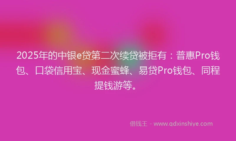 2025年的中银e贷第二次续贷被拒有：普惠Pro钱包、口袋信用宝、现金蜜蜂、易贷Pro钱包、同程提钱游等。