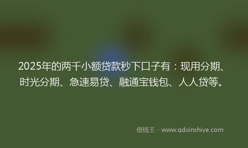 2025年的两千小额贷款秒下口子有：现用分期、时光分期、急速易贷、融通宝钱包、人人贷等。