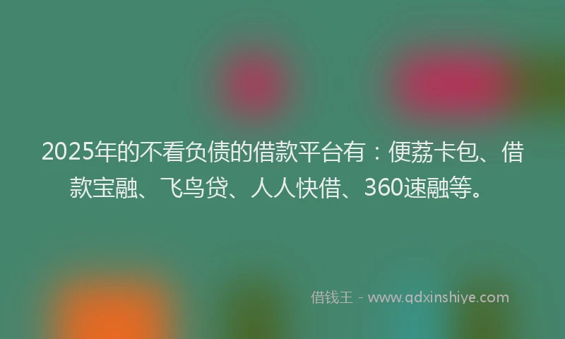 2025年的不看负债的借款平台有：便荔卡包、借款宝融、飞鸟贷、人人快借、360速融等。