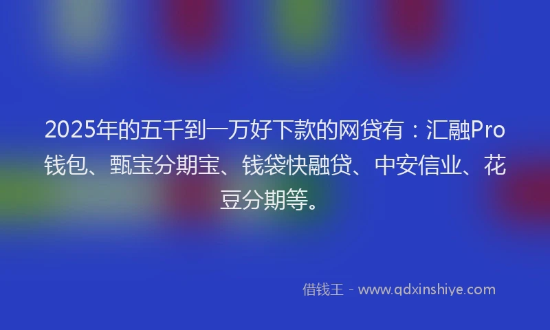 2025年的五千到一万好下款的网贷有：汇融Pro钱包、甄宝分期宝、钱袋快融贷、中安信业、花豆分期等。