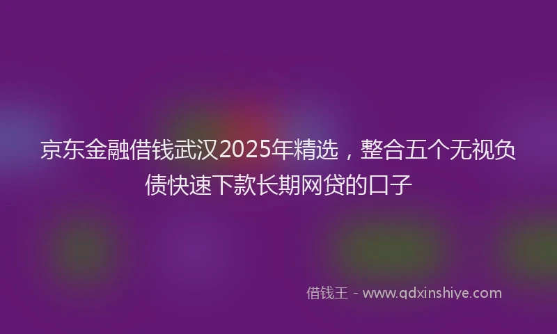 京东金融借钱武汉2025年精选，整合五个无视负债快速下款长期网贷的口子