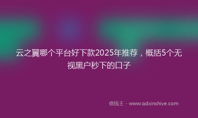 云之翼哪个平台好下款2025年推荐，概括5个无视黑户秒下的口子