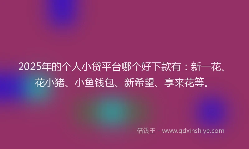2025年的个人小贷平台哪个好下款有：新一花、花小猪、小鱼钱包、新希望、享来花等。
