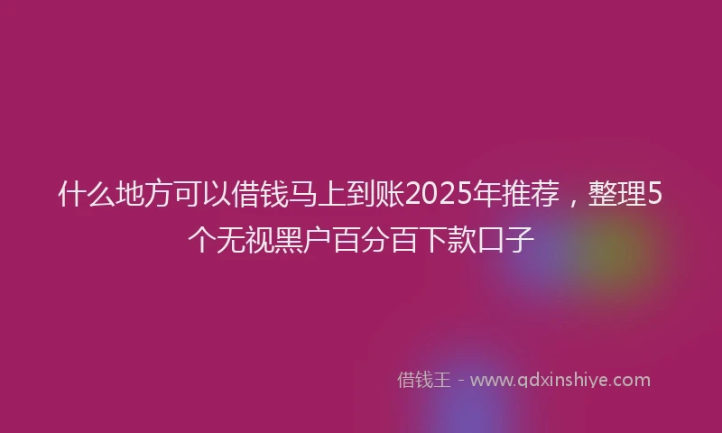 什么地方可以借钱马上到账2025年推荐，整理5个无视黑户百分百下款口子