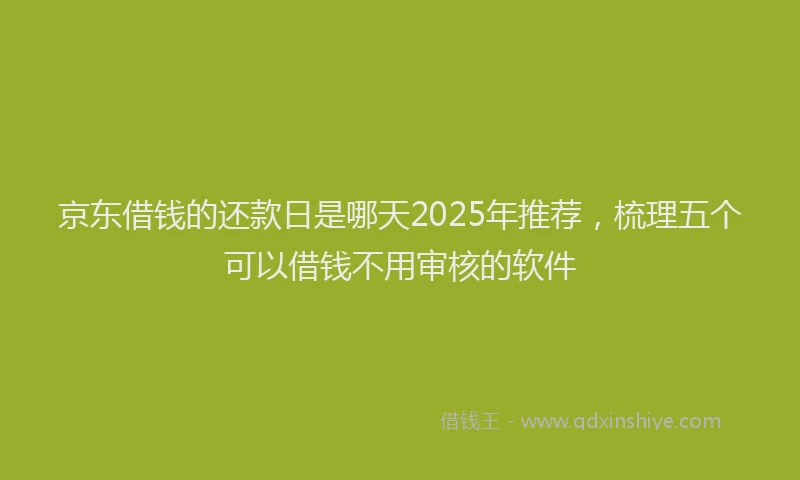 京东借钱的还款日是哪天2025年推荐，梳理五个可以借钱不用审核的软件