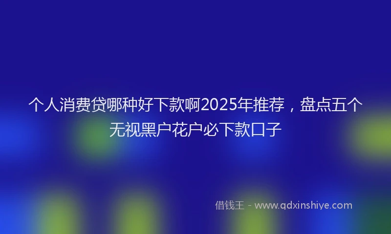 个人消费贷哪种好下款啊2025年推荐，盘点五个无视黑户花户必下款口子