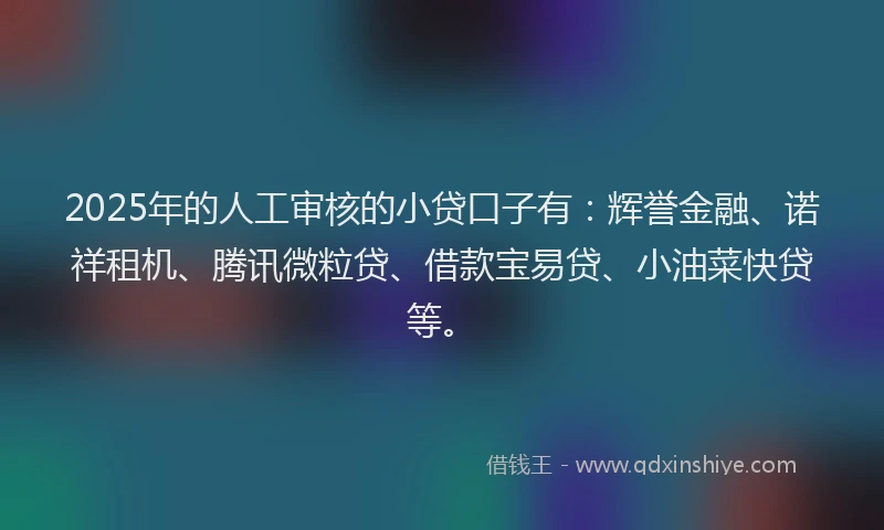 2025年的人工审核的小贷口子有：辉誉金融、诺祥租机、腾讯微粒贷、借款宝易贷、小油菜快贷等。