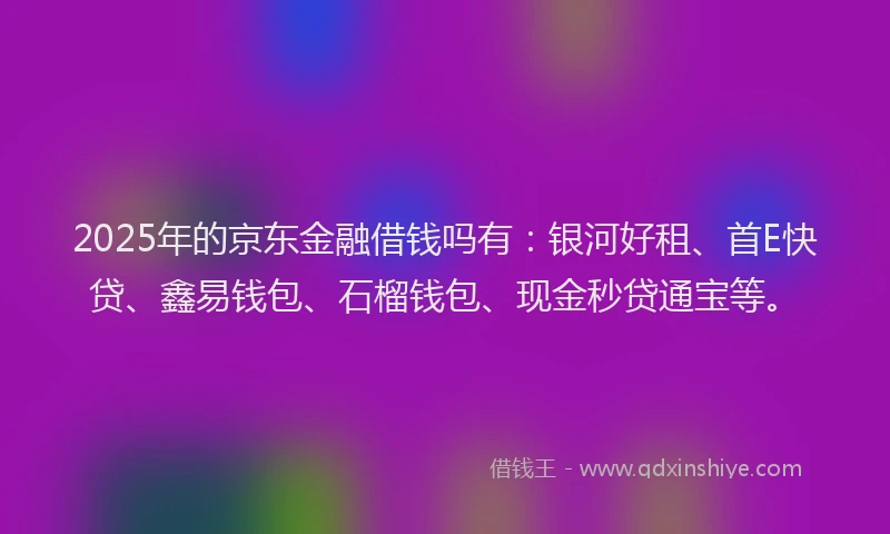 2025年的京东金融借钱吗有：银河好租、首E快贷、鑫易钱包、石榴钱包、现金秒贷通宝等。