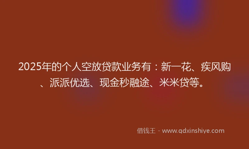 2025年的个人空放贷款业务有：新一花、疾风购、派派优选、现金秒融途、米米贷等。