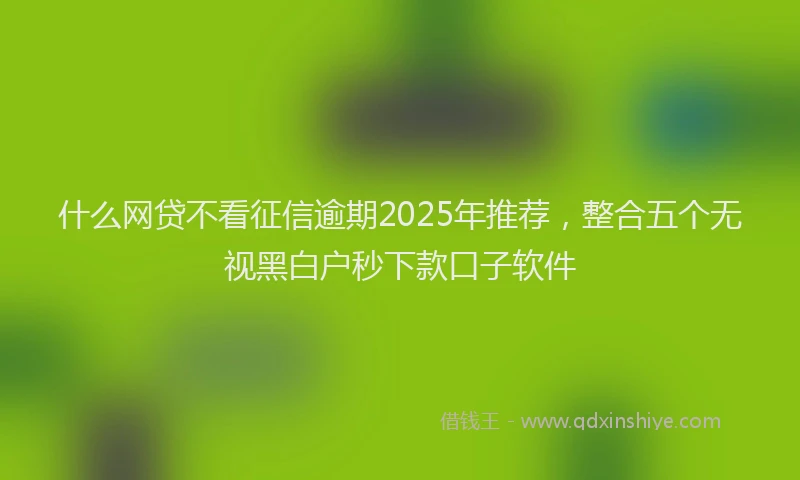 什么网贷不看征信逾期2025年推荐，整合五个无视黑白户秒下款口子软件