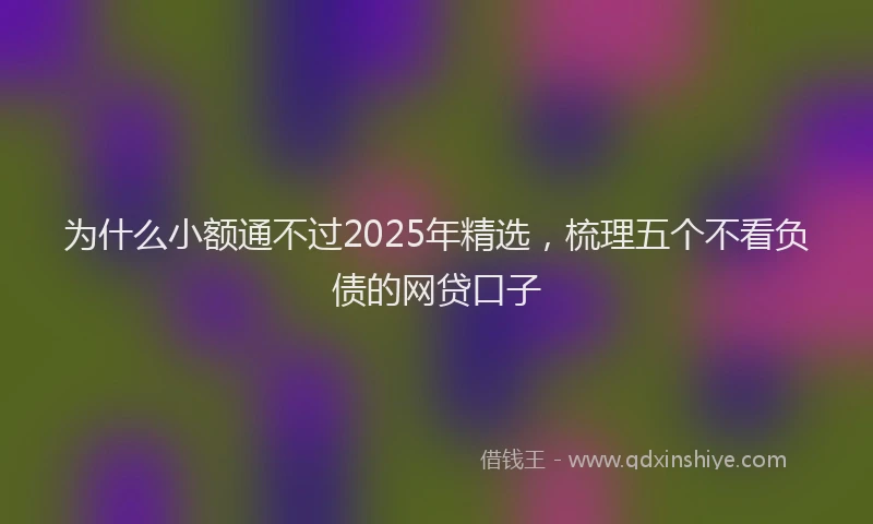 为什么小额通不过2025年精选，梳理五个不看负债的网贷口子