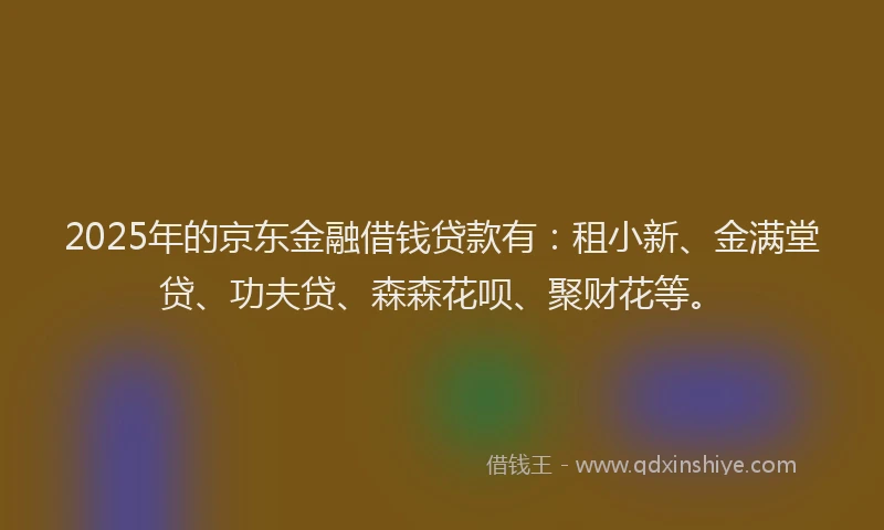 2025年的京东金融借钱贷款有：租小新、金满堂贷、功夫贷、森森花呗、聚财花等。