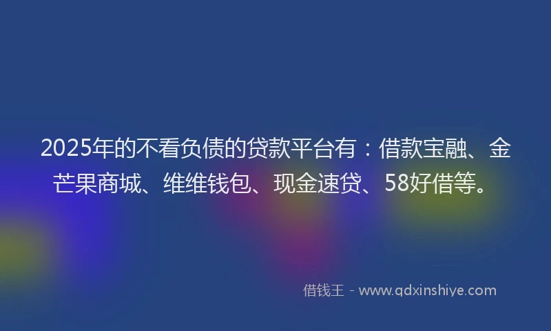 2025年的不看负债的贷款平台有：借款宝融、金芒果商城、维维钱包、现金速贷、58好借等。