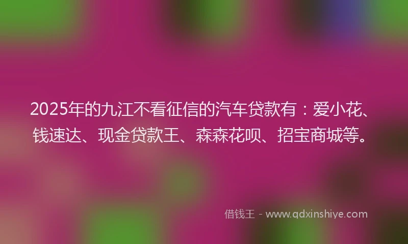 2025年的九江不看征信的汽车贷款有：爱小花、钱速达、现金贷款王、森森花呗、招宝商城等。