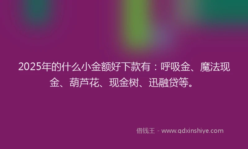2025年的什么小金额好下款有：呼吸金、魔法现金、葫芦花、现金树、迅融贷等。