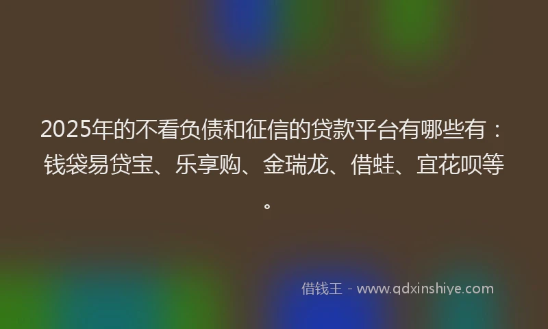 2025年的不看负债和征信的贷款平台有哪些有：钱袋易贷宝、乐享购、金瑞龙、借蛙、宜花呗等。