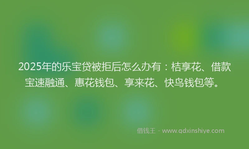 2025年的乐宝贷被拒后怎么办有：桔享花、借款宝速融通、惠花钱包、享来花、快鸟钱包等。