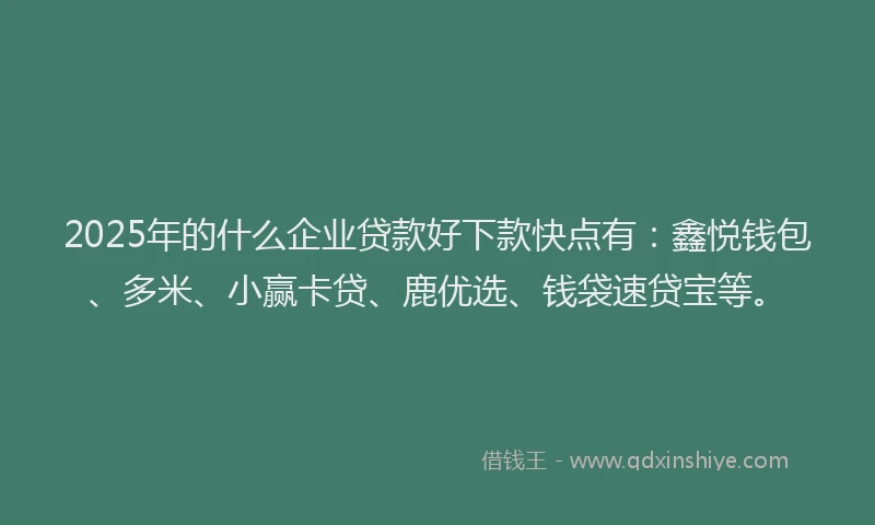 2025年的什么企业贷款好下款快点有：鑫悦钱包、多米、小赢卡贷、鹿优选、钱袋速贷宝等。