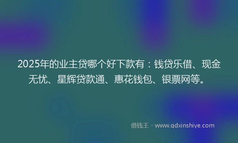 2025年的业主贷哪个好下款有：钱贷乐借、现金无忧、星辉贷款通、惠花钱包、银票网等。