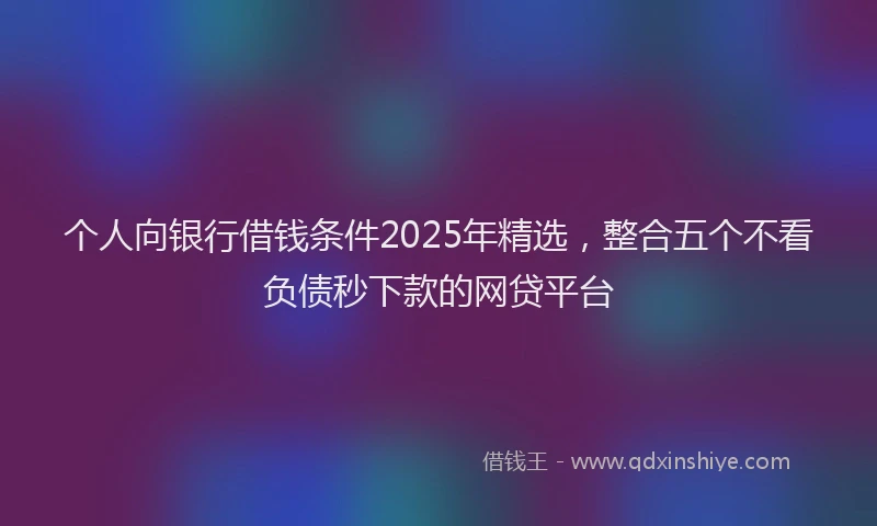 个人向银行借钱条件2025年精选，整合五个不看负债秒下款的网贷平台