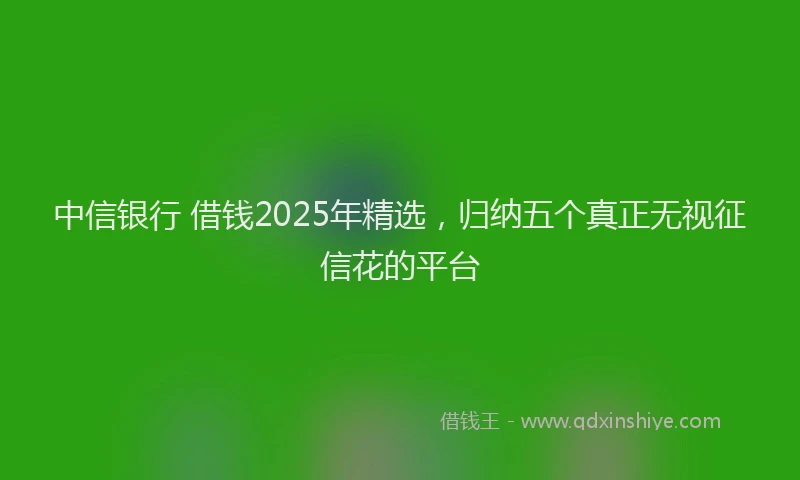 中信银行 借钱2025年精选，归纳五个真正无视征信花的平台