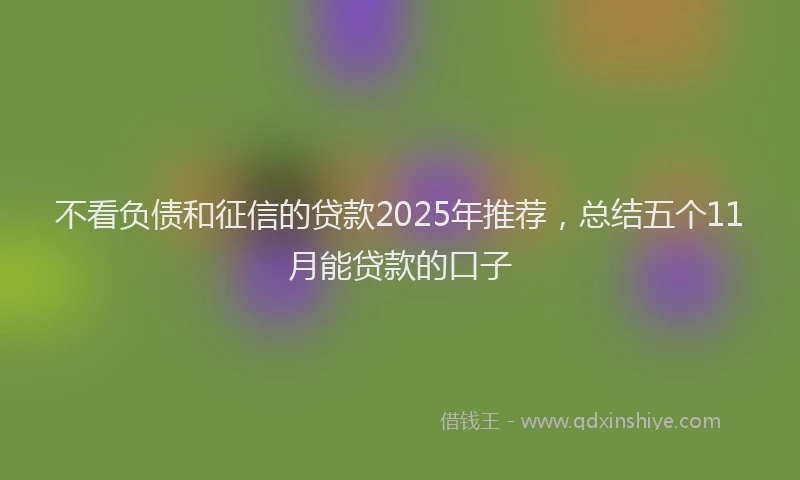不看负债和征信的贷款2025年推荐，总结五个11月能贷款的口子