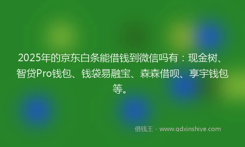 2025年的京东白条能借钱到微信吗有：现金树、智贷Pro钱包、钱袋易融宝、森森借呗、享宇钱包等。