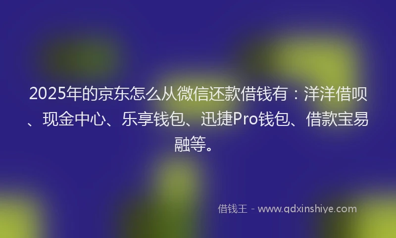 2025年的京东怎么从微信还款借钱有：洋洋借呗、现金中心、乐享钱包、迅捷Pro钱包、借款宝易融等。