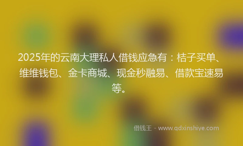 2025年的云南大理私人借钱应急有：桔子买单、维维钱包、金卡商城、现金秒融易、借款宝速易等。