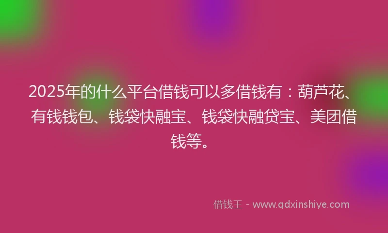 2025年的什么平台借钱可以多借钱有：葫芦花、有钱钱包、钱袋快融宝、钱袋快融贷宝、美团借钱等。