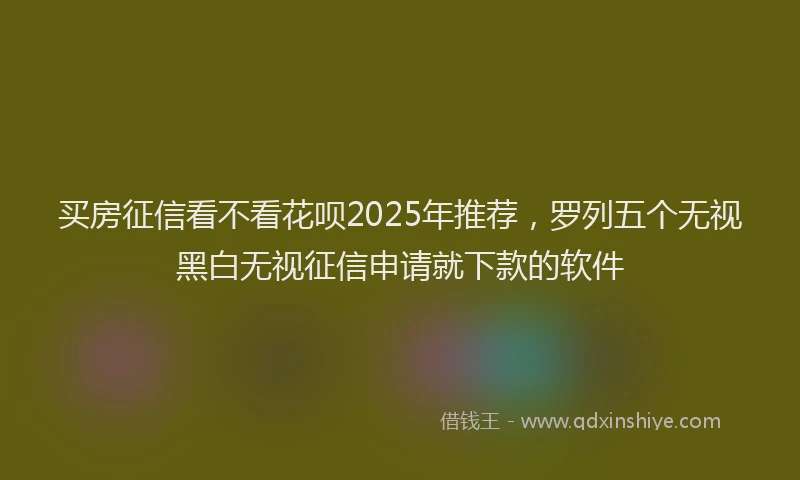 买房征信看不看花呗2025年推荐，罗列五个无视黑白无视征信申请就下款的软件