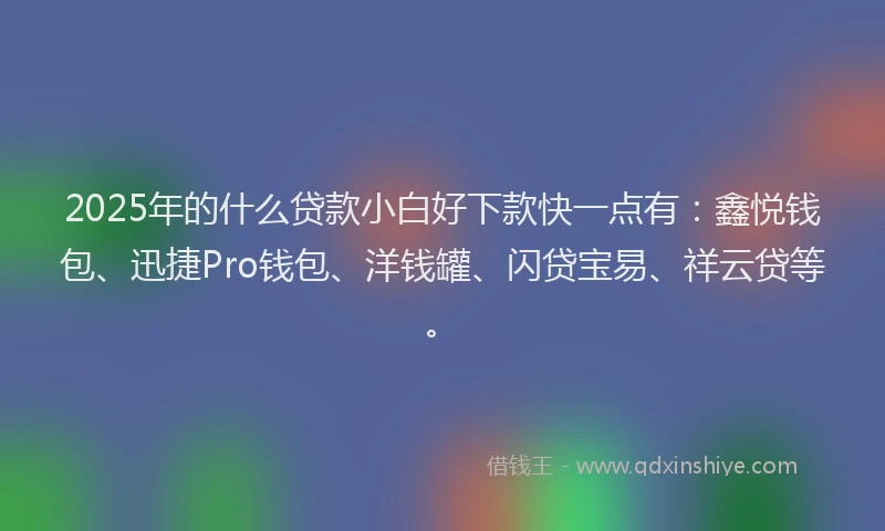 2025年的什么贷款小白好下款快一点有：鑫悦钱包、迅捷Pro钱包、洋钱罐、闪贷宝易、祥云贷等。