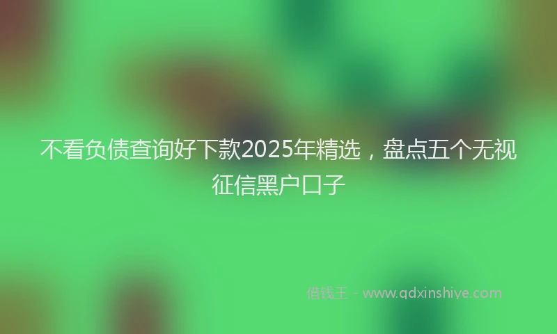 不看负债查询好下款2025年精选，盘点五个无视征信黑户口子