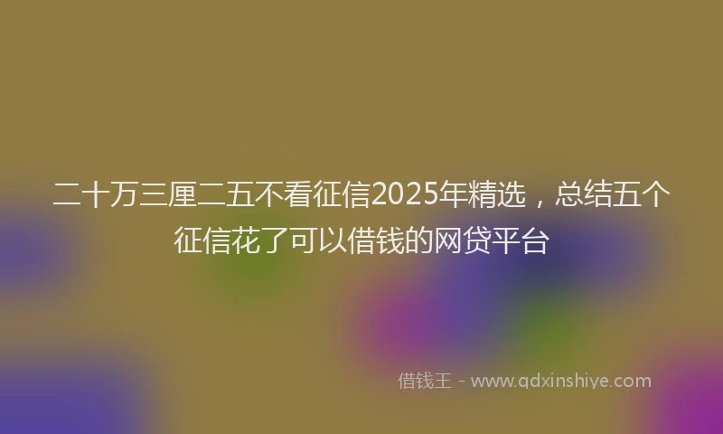 二十万三厘二五不看征信2025年精选，总结五个征信花了可以借钱的网贷平台