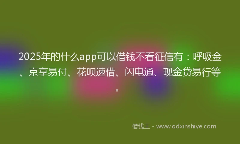 2025年的什么app可以借钱不看征信有：呼吸金、京享易付、花呗速借、闪电通、现金贷易行等。