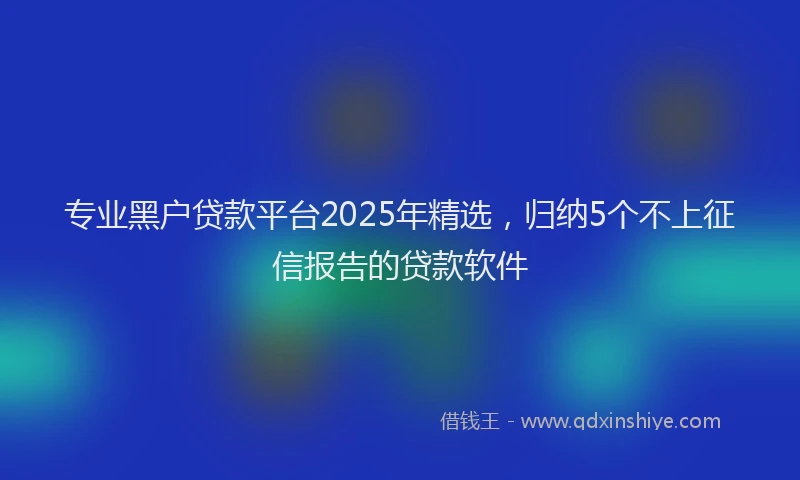 专业黑户贷款平台2025年精选，归纳5个不上征信报告的贷款软件