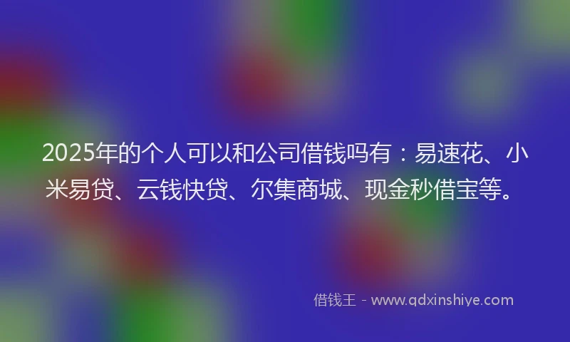 2025年的个人可以和公司借钱吗有：易速花、小米易贷、云钱快贷、尔集商城、现金秒借宝等。