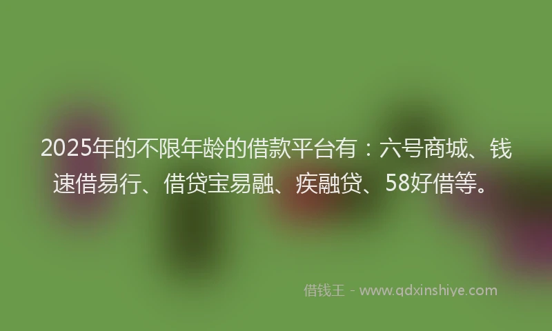 2025年的不限年龄的借款平台有：六号商城、钱速借易行、借贷宝易融、疾融贷、58好借等。