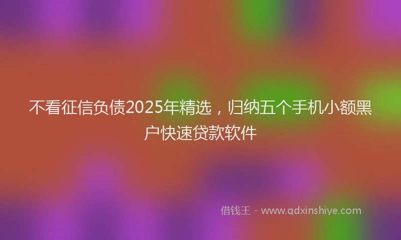 不看征信负债2025年精选，归纳五个手机小额黑户快速贷款软件