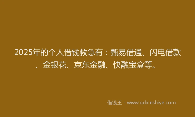 2025年的个人借钱救急有：甄易借通、闪电借款、金银花、京东金融、快融宝盒等。