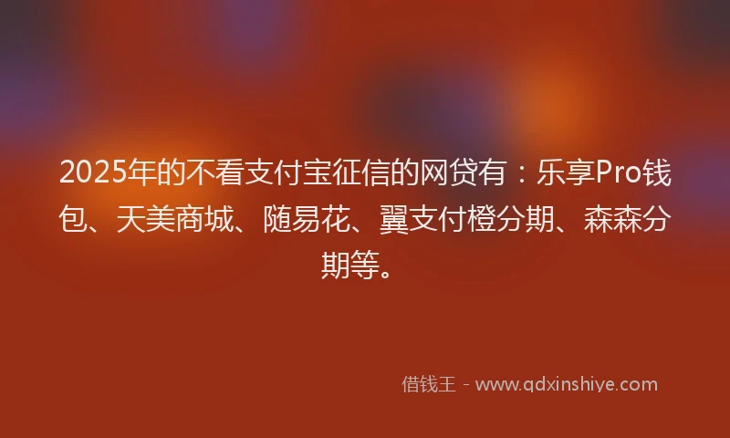 2025年的不看支付宝征信的网贷有：乐享Pro钱包、天美商城、随易花、翼支付橙分期、森森分期等。