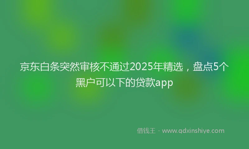 京东白条突然审核不通过2025年精选，盘点5个黑户可以下的贷款app